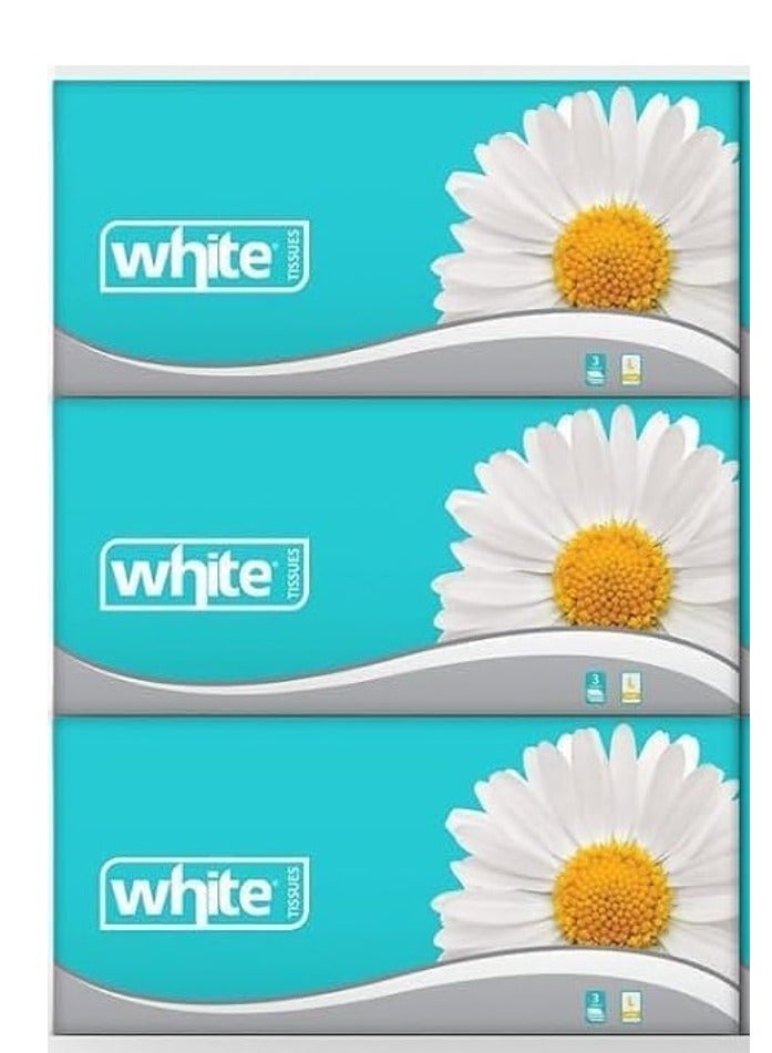 White Facial Tissues 500 Tissue Pack of 3  (May vary package)